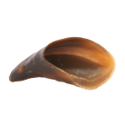6db354d7059751fec8c336a1fb765776.png