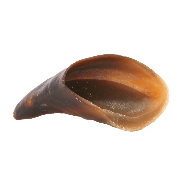 6db354d7059751fec8c336a1fb765776.png