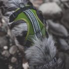 71e316fa690071f9f7c8cefd75eb5b59.jpg